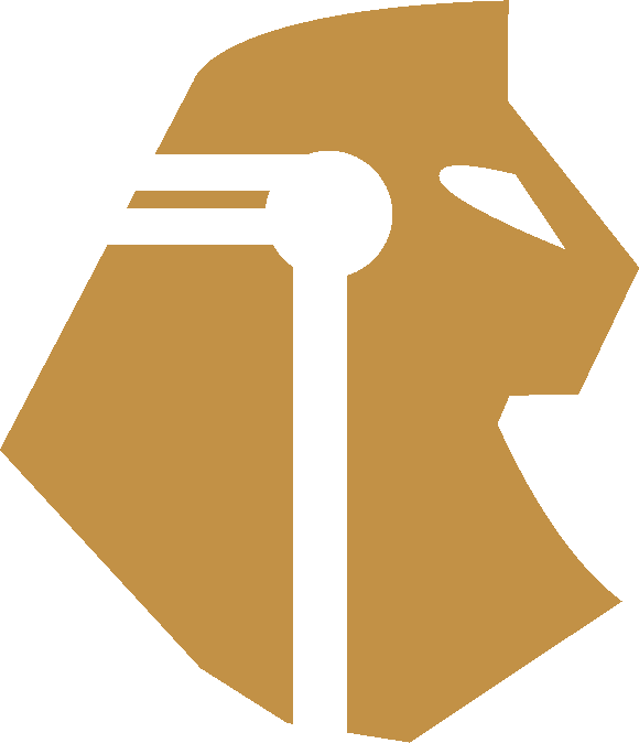 Logo ESFINGE